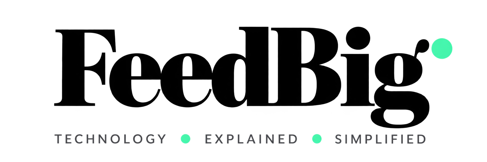 FeedBig — Technology explained simplified